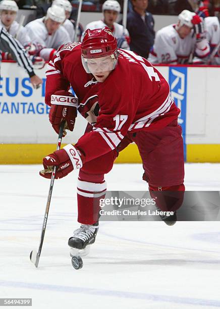 Ladislav Nagy of the Phoenix Coyotes skates during the NHL game against the Montreal Canadiens at the Bell Centre on December 13 , 2005 in Montreal,...