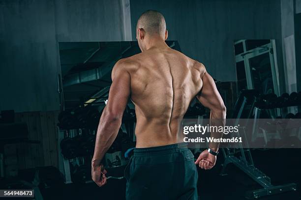 back muscles of a young man at gym - body building stock pictures, royalty-free photos & images