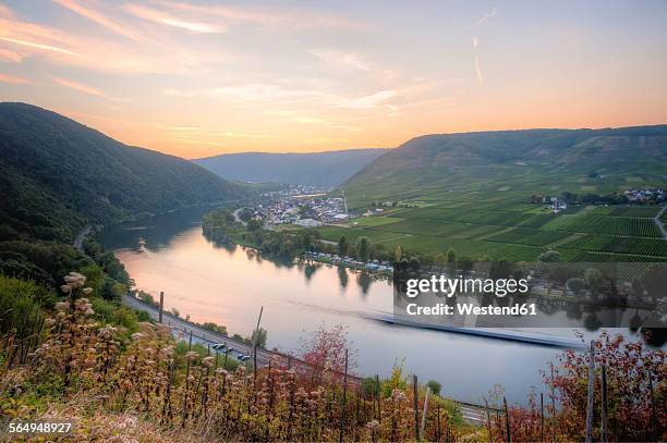 Ediger Germany 21 Ediger Eller Stock Photos, High-Res Pictures, and Images - Getty Images