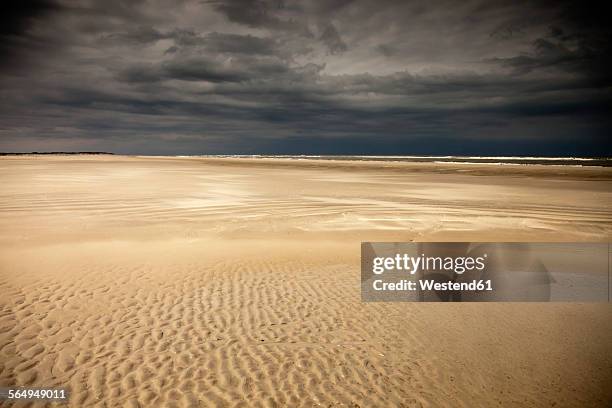 germany, eastern friesland, spiekeroog, empty low tide beach short before a thunderstorm - low tide stock pictures, royalty-free photos & images
