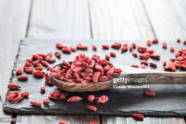 wooden spoon with goji berries on a slate, superfood - bocksdornfrucht stock-fotos und bilder