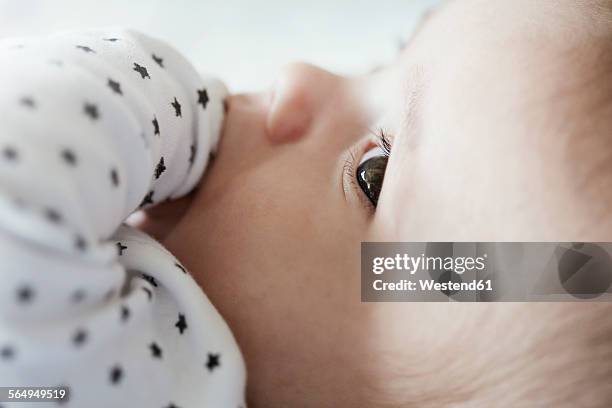 close-up of baby with finger in mouth - finger in mouth stock pictures, royalty-free photos & images