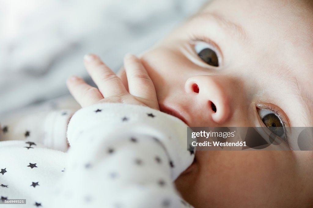 Close-up of baby with finger in mouth