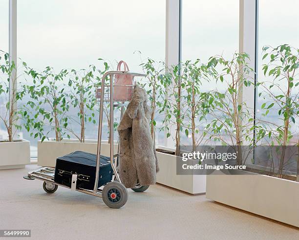 fur coat on shopping trolley - luggage trolley stockfoto's en -beelden