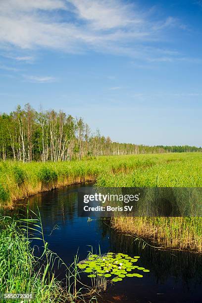 russian landscape - pskov city stock pictures, royalty-free photos & images