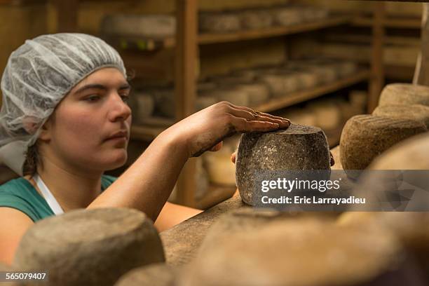 cheese maker checking ewe cheese - cheese making france stock pictures, royalty-free photos & images