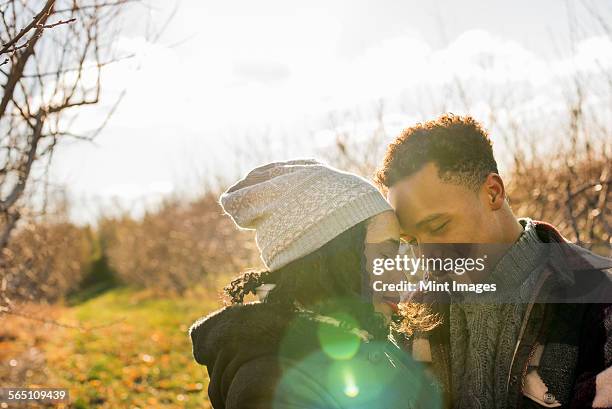 Two people, a couple walking in an orchard in winter. 