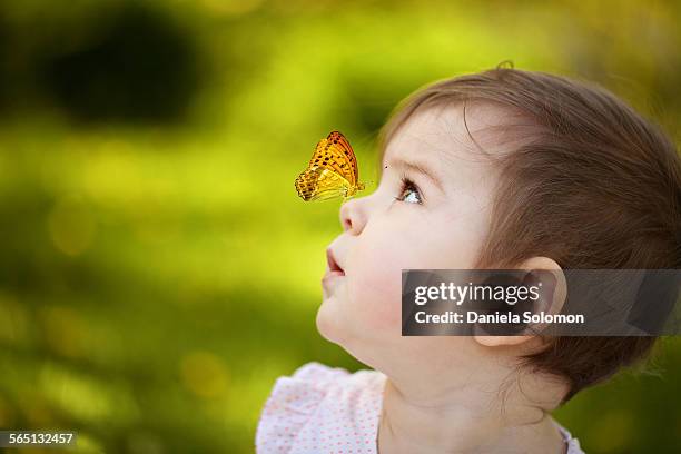 cute baby girl with butterfly on nose - human butterfly stock pictures, royalty-free photos & images