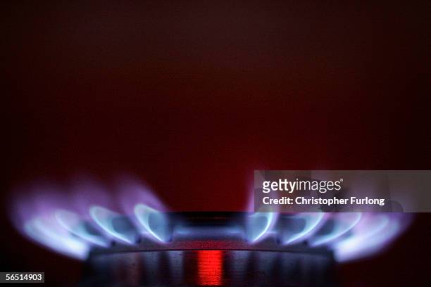 Gas ring on a domestic stove powered by natural gas is seen alight on January 3. 2005, Manchester, England. Russia had decreased pressure in the...
