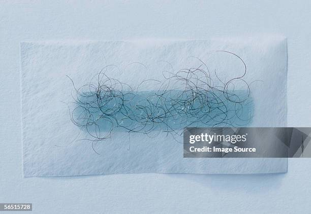 hair on a wax strip - hars stockfoto's en -beelden