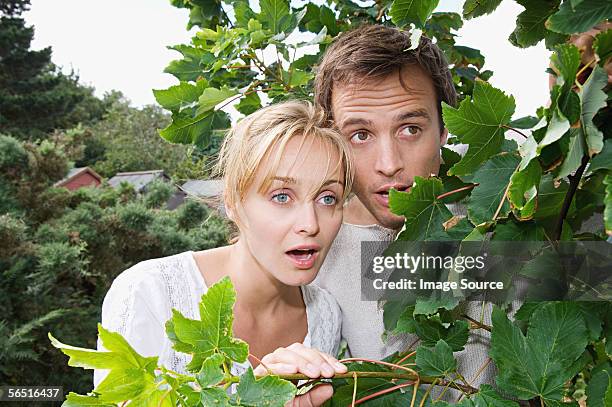 couple peeking from behind a tree - couple in surprise stock pictures, royalty-free photos & images