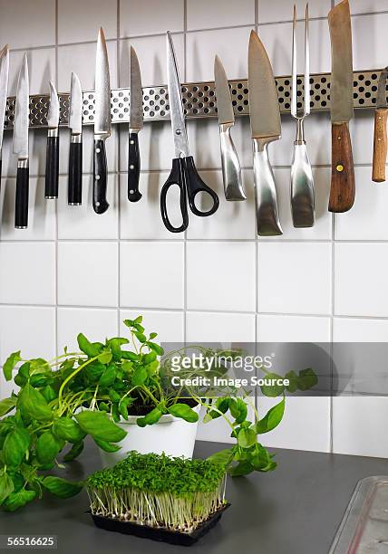 herbs and utensils in a kitchen - magnetwand stock-fotos und bilder