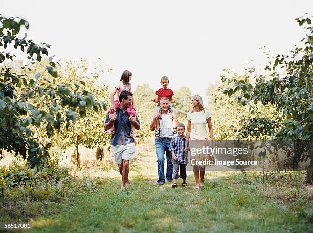 family walking in an orchard - fruktträdgård bildbanksfoton och bilder