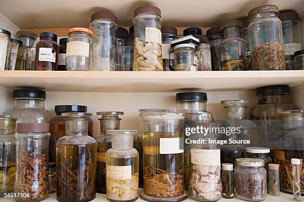jars of biological specimens - sample holder stock pictures, royalty-free photos & images