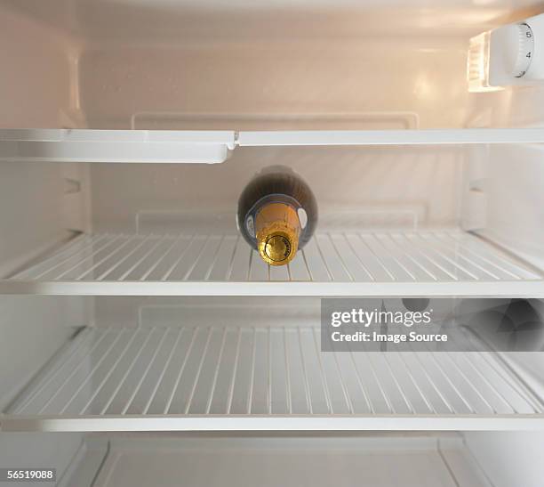 champagne bottle in a refrigerator - kühlschrank leer stock-fotos und bilder