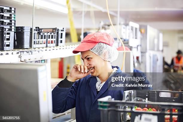 a female fruit packer laughs whilst packing fruit - wrapping stock pictures, royalty-free photos & images