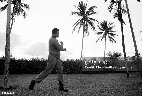 American heavyweight boxing champion Muhammad Ali in training in ...
