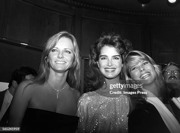 Cheryl Tiegs, Brooke Shields and Christie Brinkley circa 1983 in New York City.