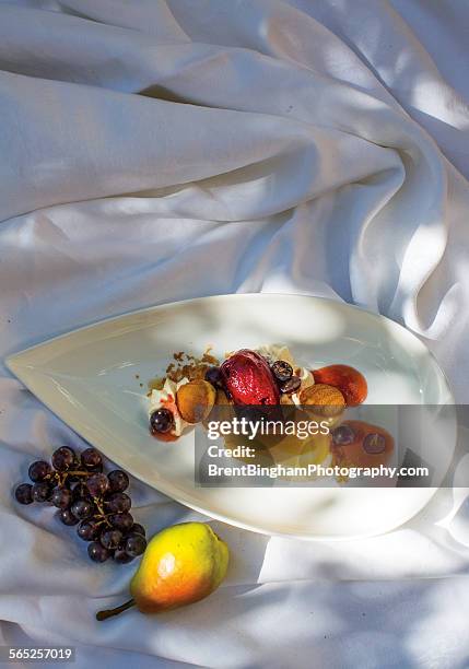 fruit dessert still life - raspberry sorbet stock pictures, royalty-free photos & images