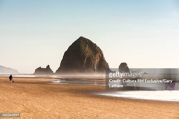 view of haystack rock and misty sea, cannon beach, oregon, usa - cannon beach foto e immagini stock