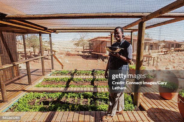Farmstead Namibia Namibia Farming Photos and Premium High Res Pictures - Getty Images