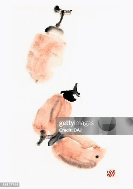 dried persimmons - dried persimmon stock illustrations