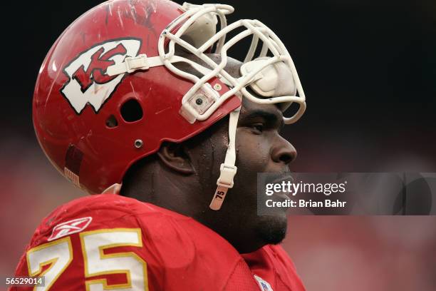 Defensive tackle Lional Dalton of the Kansas City Chiefs looks on against the Cincinnati Bengals at Arrowhead Stadium on January 1, 2006 in Kansas...