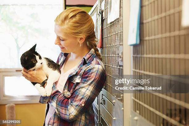 female volunteer petting a cat in animal shelter - shelter bildbanksfoton och bilder