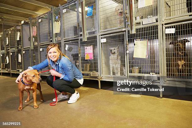 female volunteer at an animal shelter - animal volunteer stock pictures, royalty-free photos & images