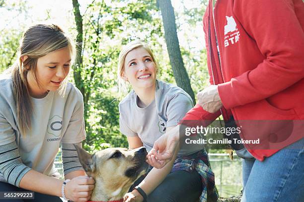 female volunteers and a dog - animal volunteer stock pictures, royalty-free photos & images