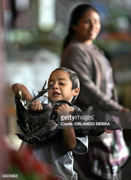 Un nino carga un pavo en el mercado Colom de Ciudad de Guatemala el 06 de enero de 2006. Las autoridades de Guatemala incrementaran la vigilancia...