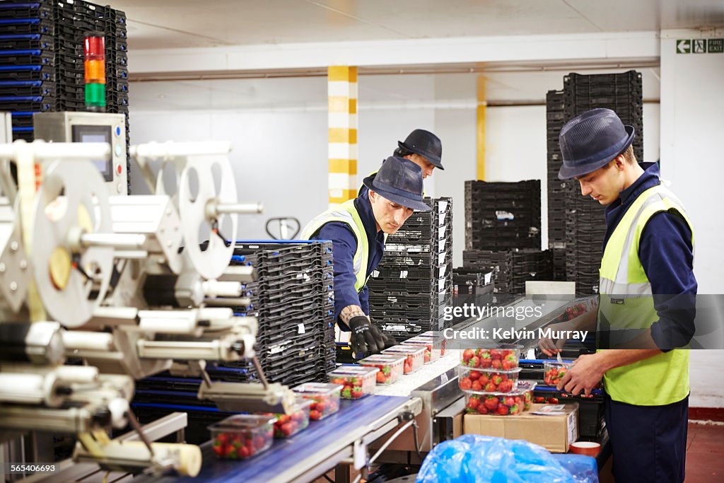 Fruit packers sort fruit for distribution to shops