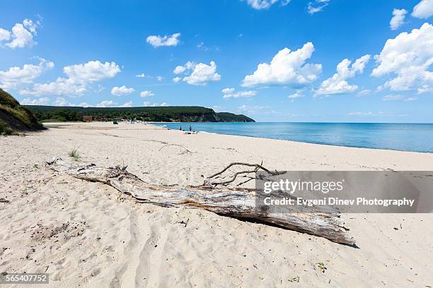 Irakl 40 Irakli Beach Stock Photos, High-Res Pictures, and Images - Getty Images
