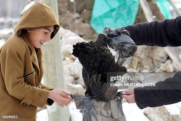 Twelve-year-old Murat Ozer and 16-year-old Hakan Samur put a sick chicken in to a bag to burry it in Telceker village of Dogubeyazit, eastern Turkey,...