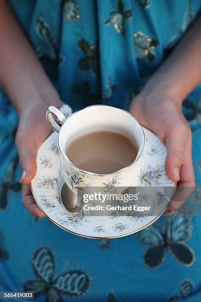 holding a cup of tea - gerhard egger stock-fotos und bilder