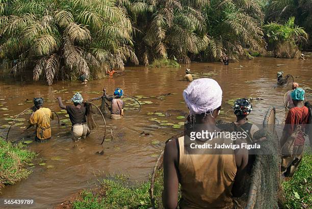 fisherwomen at work. liberia, west africa - liberia stock pictures, royalty-free photos & images