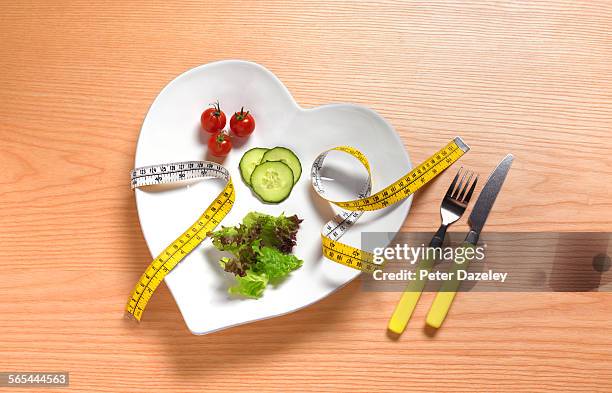 Anorexic Lunch High-Res Stock Photo