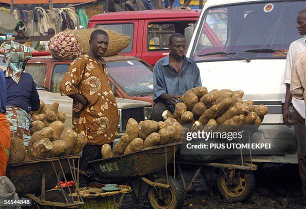 Traders stand behind yams piled up on wheel barrow at the Mile 12 market in Lagos, 09 January 2006. The Mile 12 market in Lagos has resumed business...