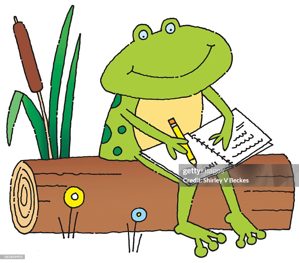 Frog sitting on log.