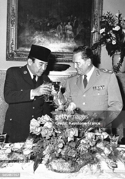Le président Tito et le président Soekarno trinquent ensemble lors d'un dîner sur l'Ile de Brioni, Yougoslavie le 8 avril 1960.