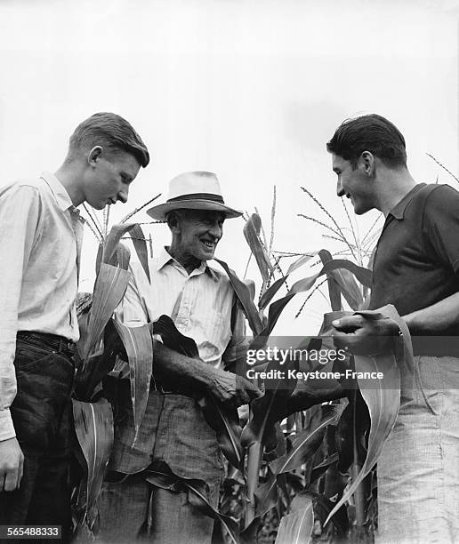 Ce vieux paysan américain expliquent aux deux jeunes Allemands travaillant dans sa ferme la culture du maïs, aux Etats-Unis.
