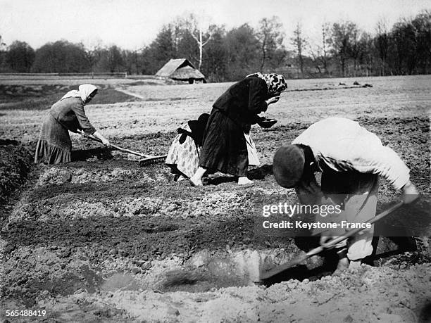 La femme, au centre, prend les graines de blé dans sa bouche et les recrache de droite à gauche, comme la coutume le veut en Lituanie.