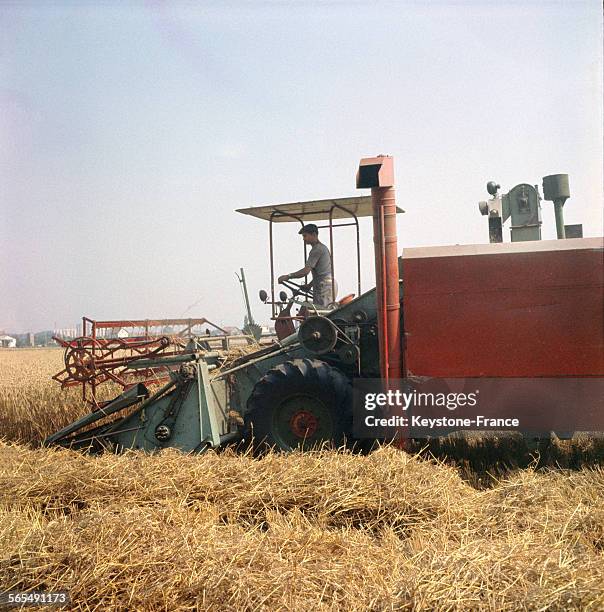 Une moissonneuse-batteuse lors de la récolte des blés en Normandie en 1965.