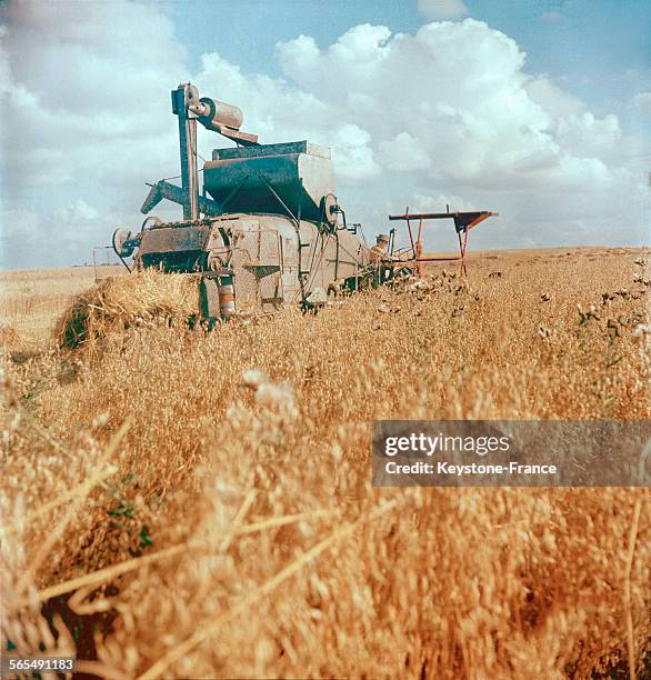Une moissonneuse-batteuse lors de la récolte des blés en Normandie en 1965.