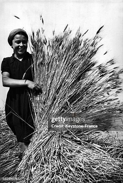 Jeune femme moissoneuse au travail dans la campagne romaine, Italie.