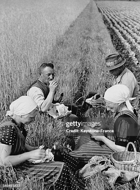 Pause déjeuner dans un champ en Allemagne le 20 juillet 1937.