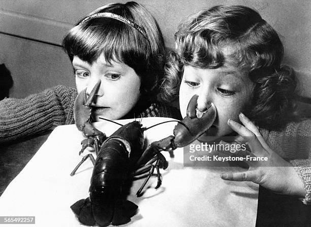 Ces deux petites filles se font pincer le nez par un homard, en France en 1959.