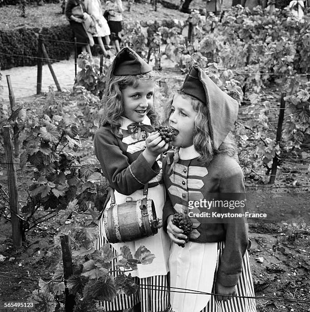 Filles en costume folklorique mangent une grappe de raisin pendant la fête des vendanges à Montmartre, Paris, France le 28 septembre 1961.