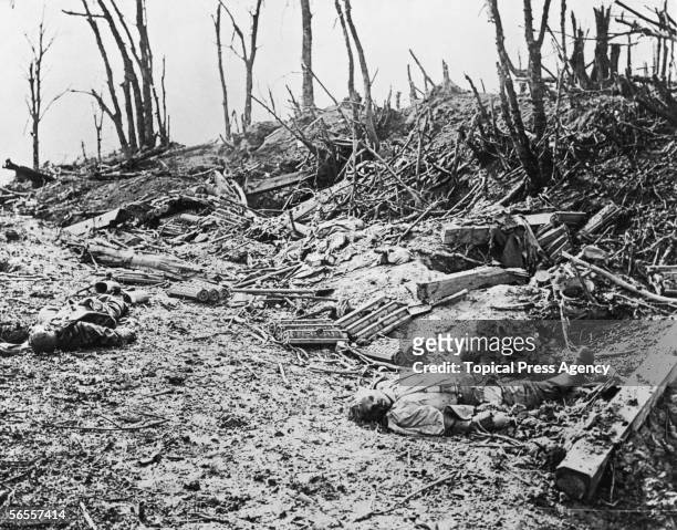 The corpses of German soldiers lying amidst the debris in Louage Wood, during the Somme Campaign, World War I, 10th October 1916.