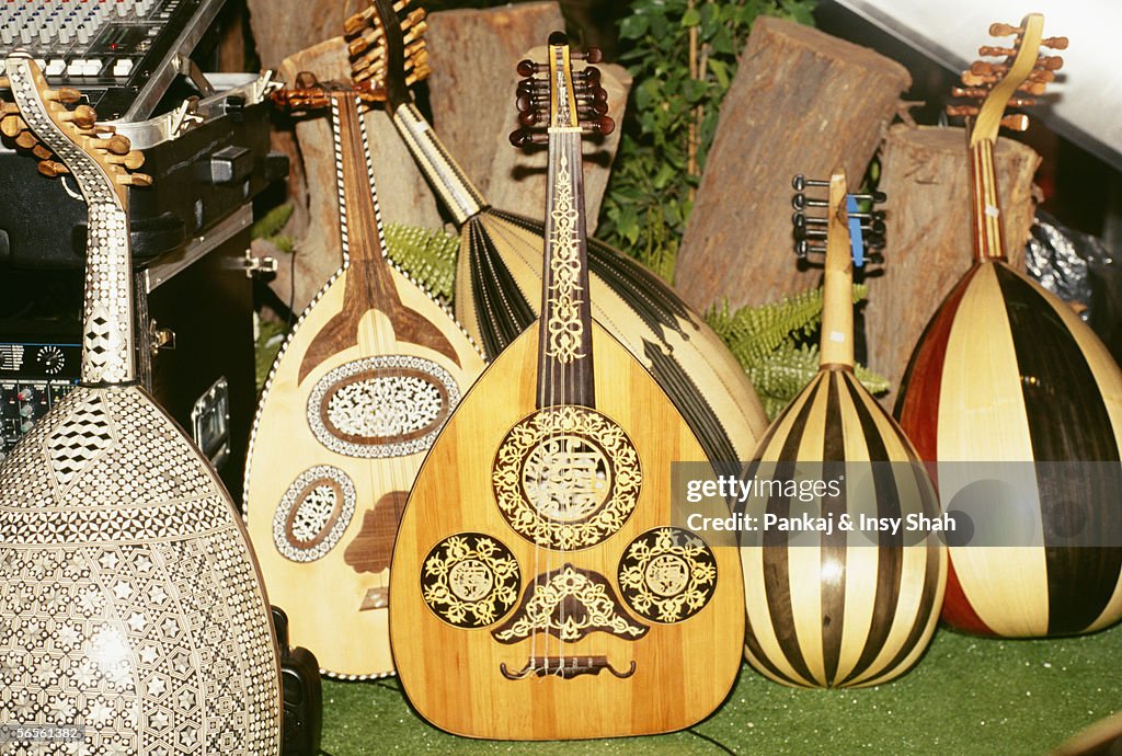 Musical Stringed Instruments Of Various Shapes And Sizes Are Arranged ...